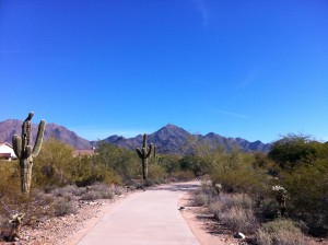 Marathon Man - Phoenix Desert